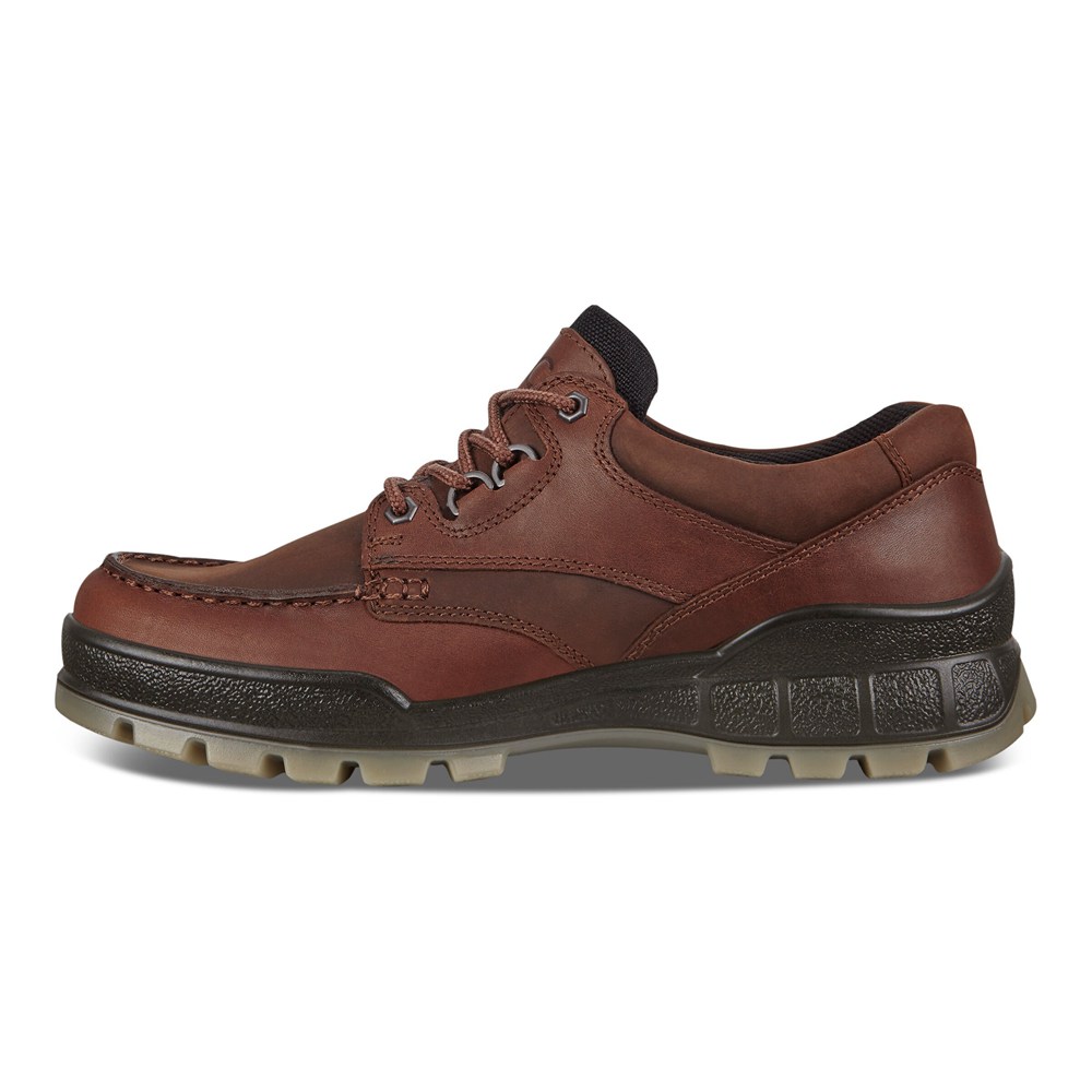 ECCO Mens Hiking Shoes Brown - Track 25 - LVX-852463